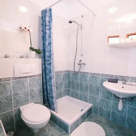 Casa de hóspedes Brigita 3*