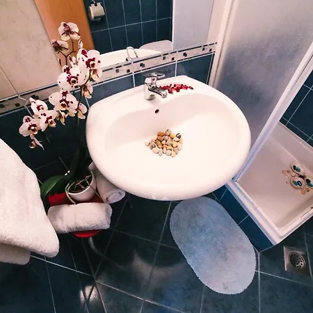 Casa de hóspedes Brigita 3*