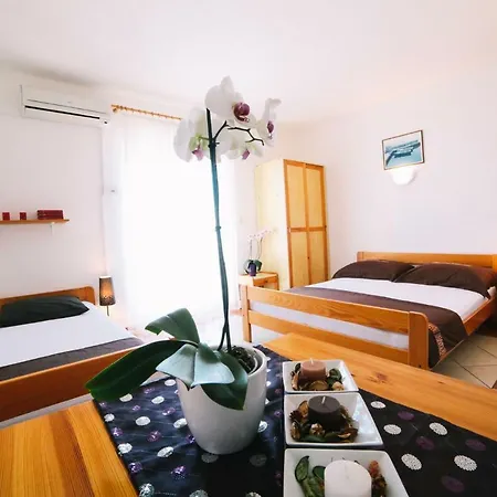 Brigita Πανσιόν 3*